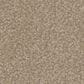 Phenix Canvas I Carpet in Burlap, , large