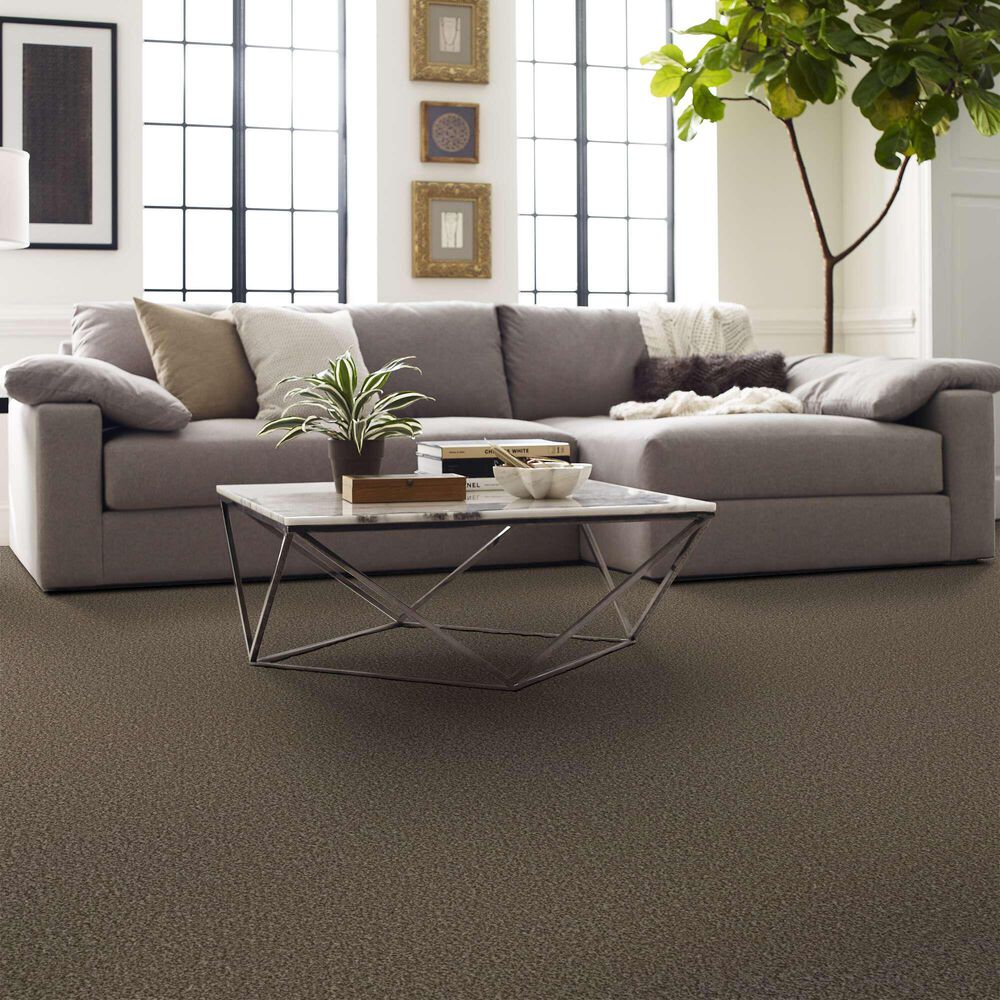 Shaw Renewed Energy I Carpet in Freckles, , large