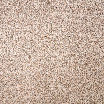 Mohawk Natural Selection I Carpet in Harmony, , large