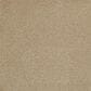 Masland Panache Carpet in Tumbleweed, , large