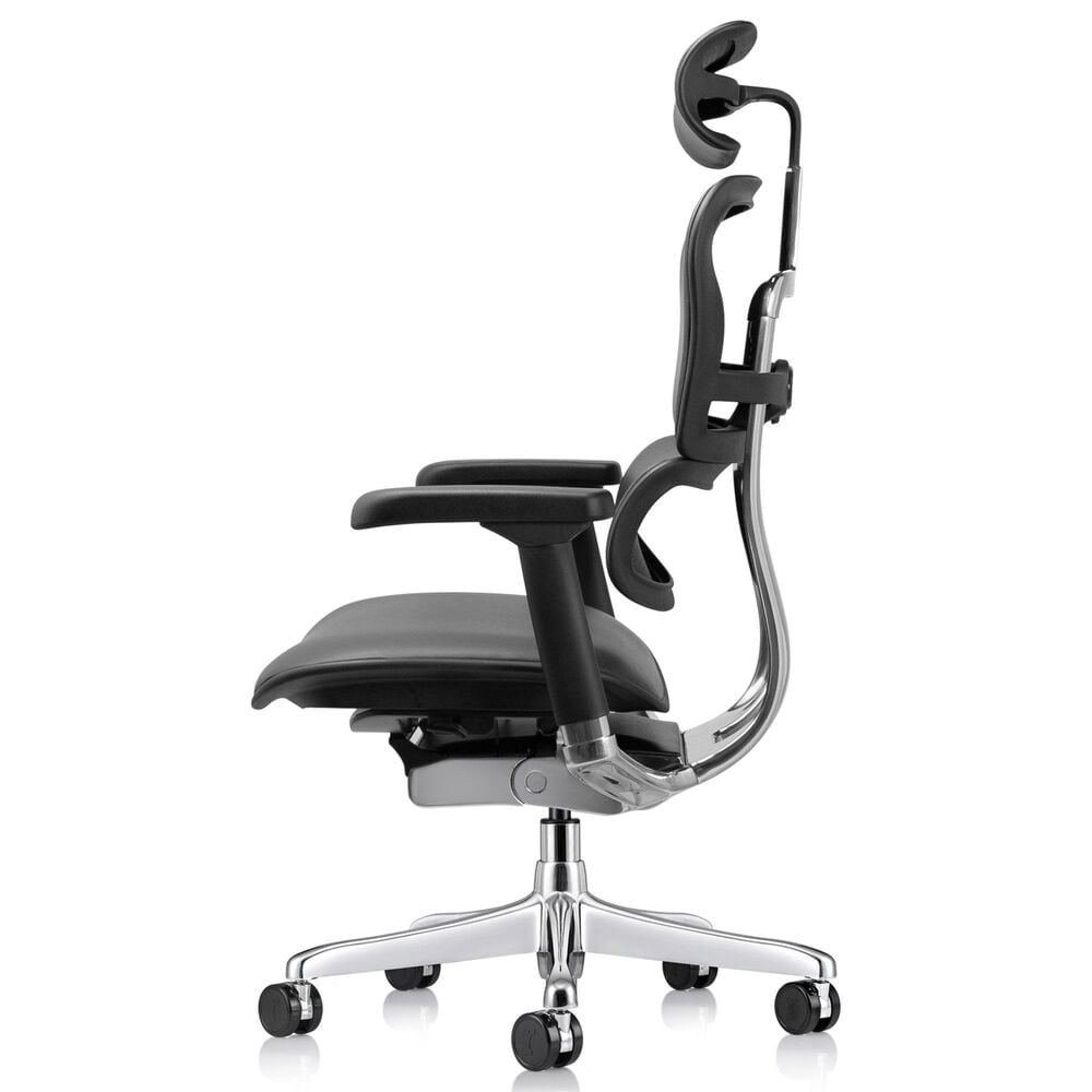 Raynor Group Ergohuman High Back Leather Executive Chair in Black, , large