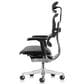Raynor Group Ergohuman High Back Leather Executive Chair in Black, , large
