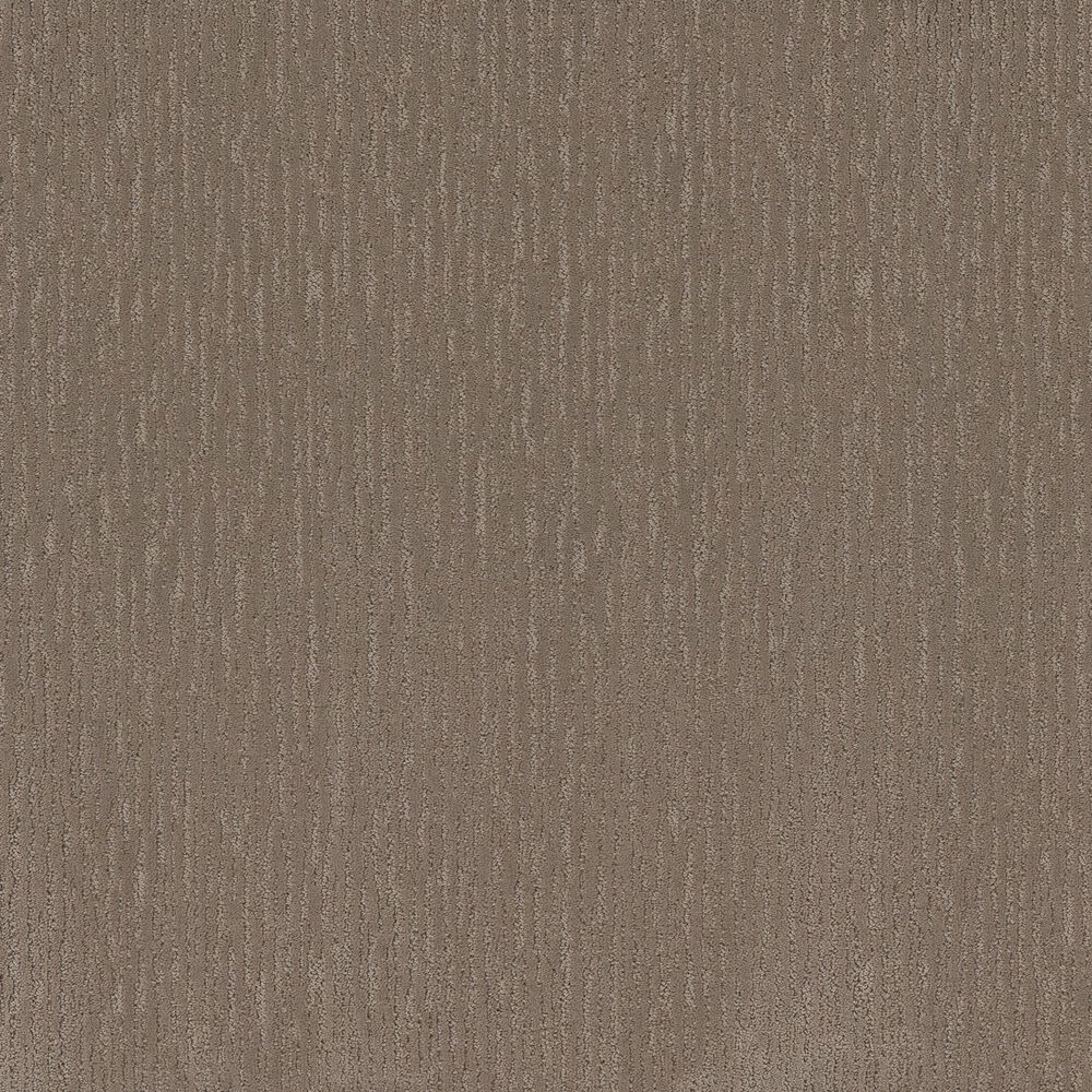 Dixie Home Forever Elegant Carpet in Mushroom, , large