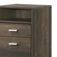 Everly Living Quinn 2-Drawer File Cabinet in Light Gray, , large