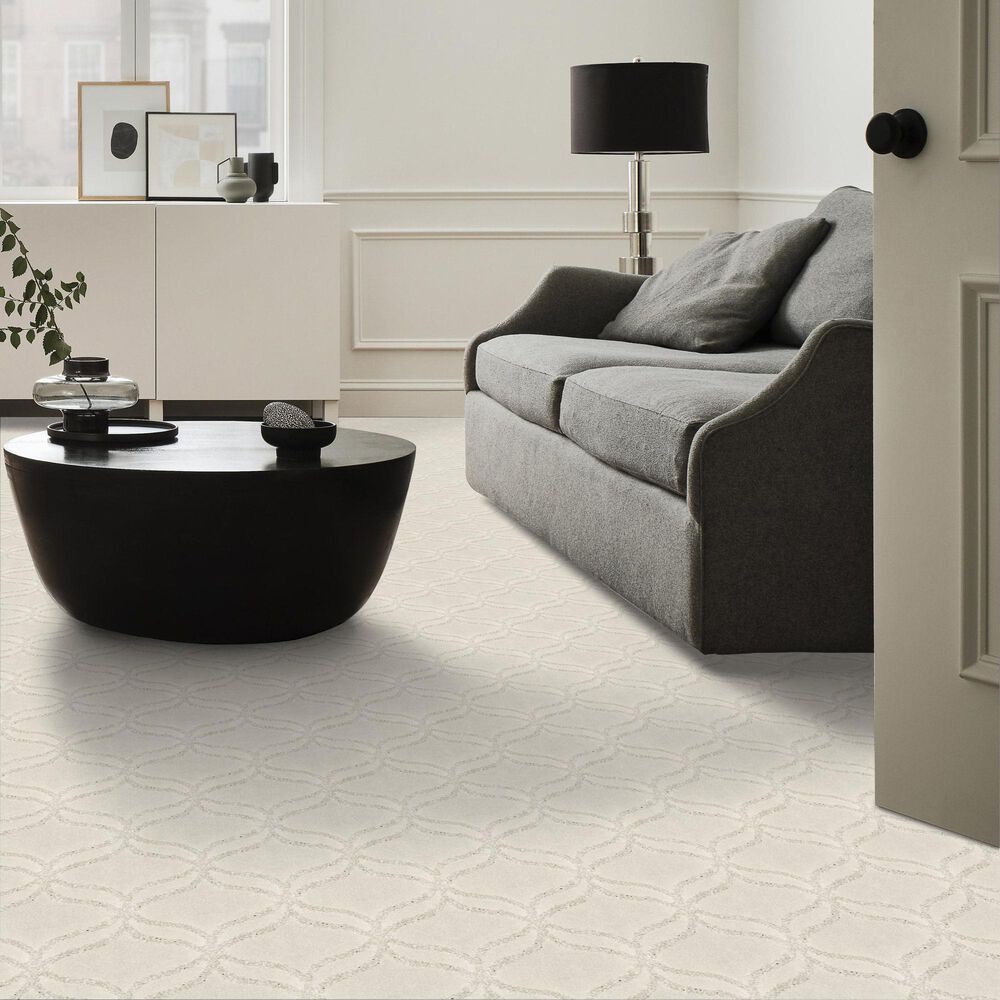 Anderson Tuftex Appreciation Carpet in Mohair, , large