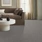 Anderson Tuftex Evoke Carpet in Pewter, , large
