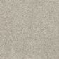 Mohawk Purrfect Home II Carpet in Mercury, , large