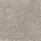 Mohawk Paw Pathway Carpet in Mushroom, , large
