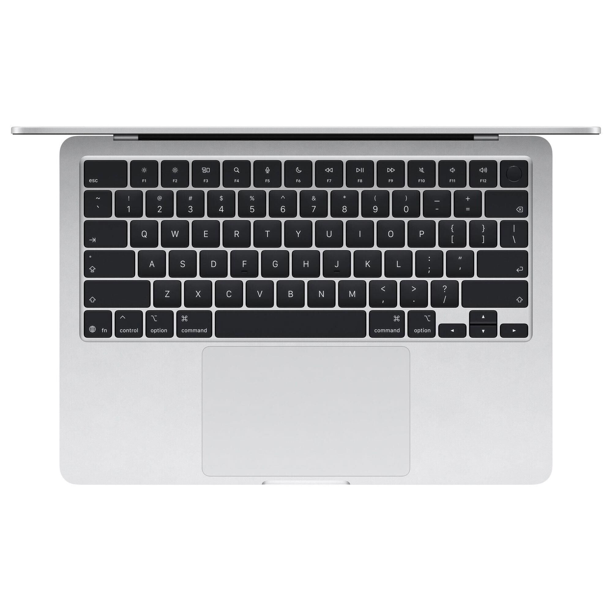 Apple 13