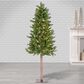The Gerson Company 6" Alpine Pre-Lit Artificial Christmas Tree in Green, , large
