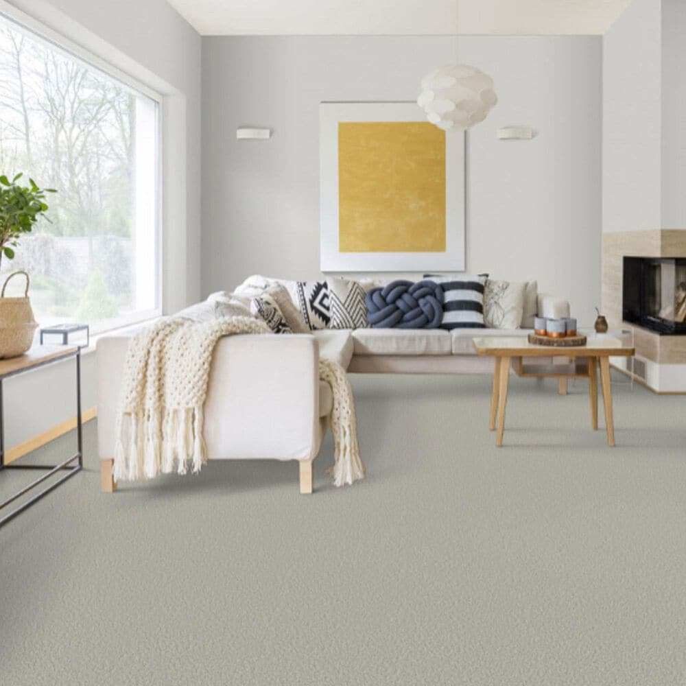 Dixie Home Riverbend Carpet in Quartz, , large