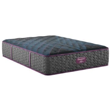 Beautyrest World Class Level 3 Plush Queen Mattress, , large