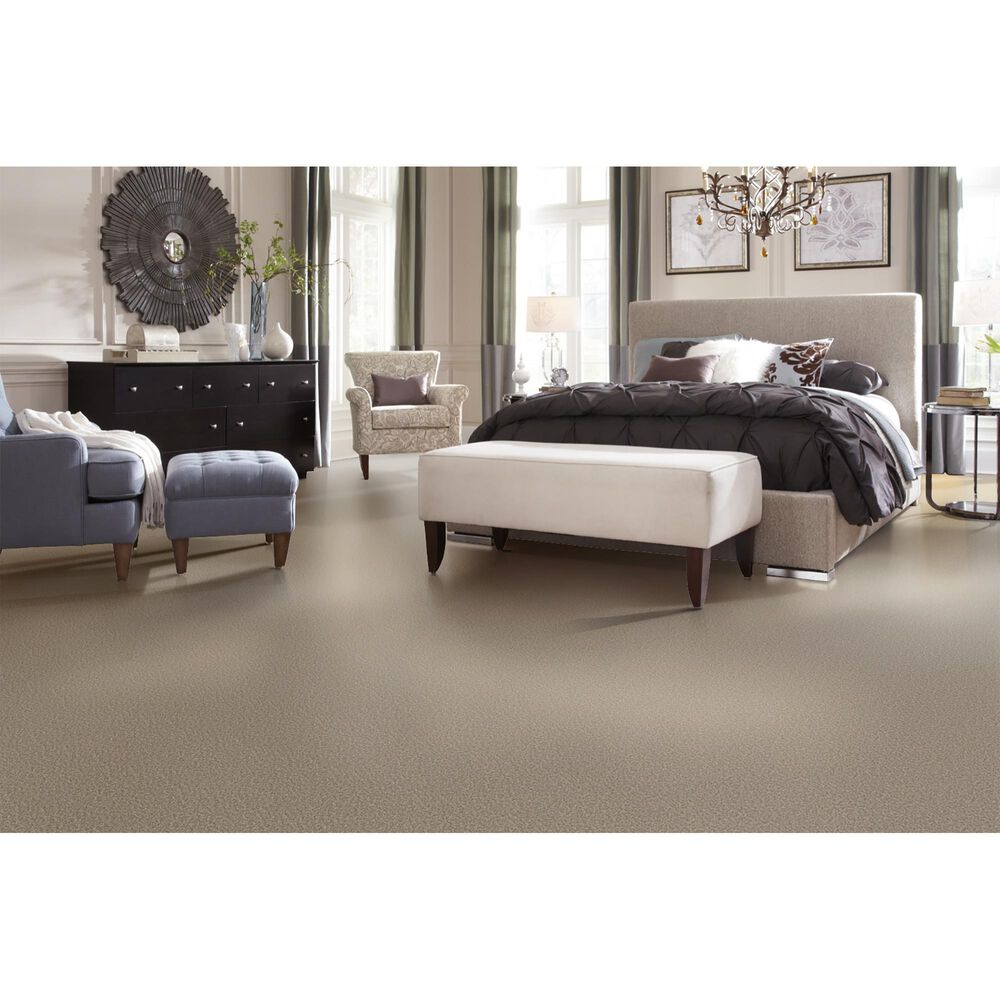 Phenix Bari Carpet in Amphitheatre, , large