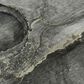 Dalyn Rug Company Odyssey Charcoal 8" x 10" Area Rug, , large