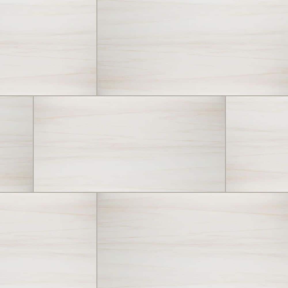 MS International Eden Dolomite 24" x 48" Matte Porcelain Tile, , large