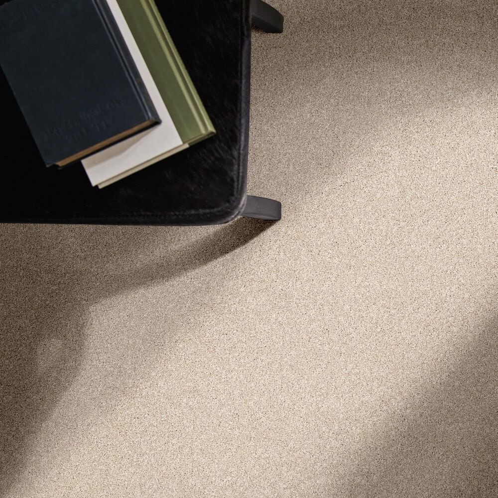 Philadelphia Delicate Feel I Carpet in Cafe Latte, , large