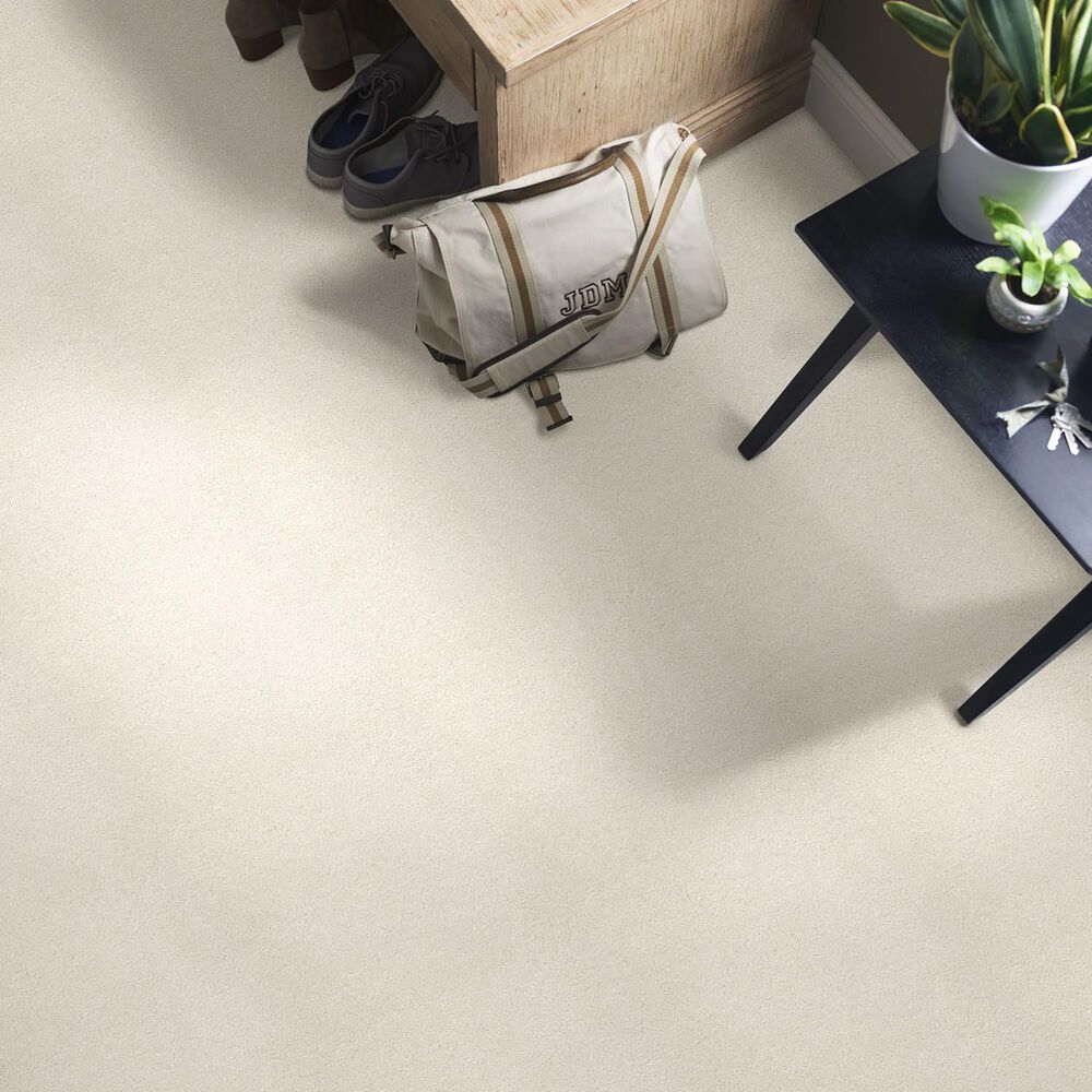 Shaw Find Your Comfort NS Blue Carpet in Champagne Toast, , large
