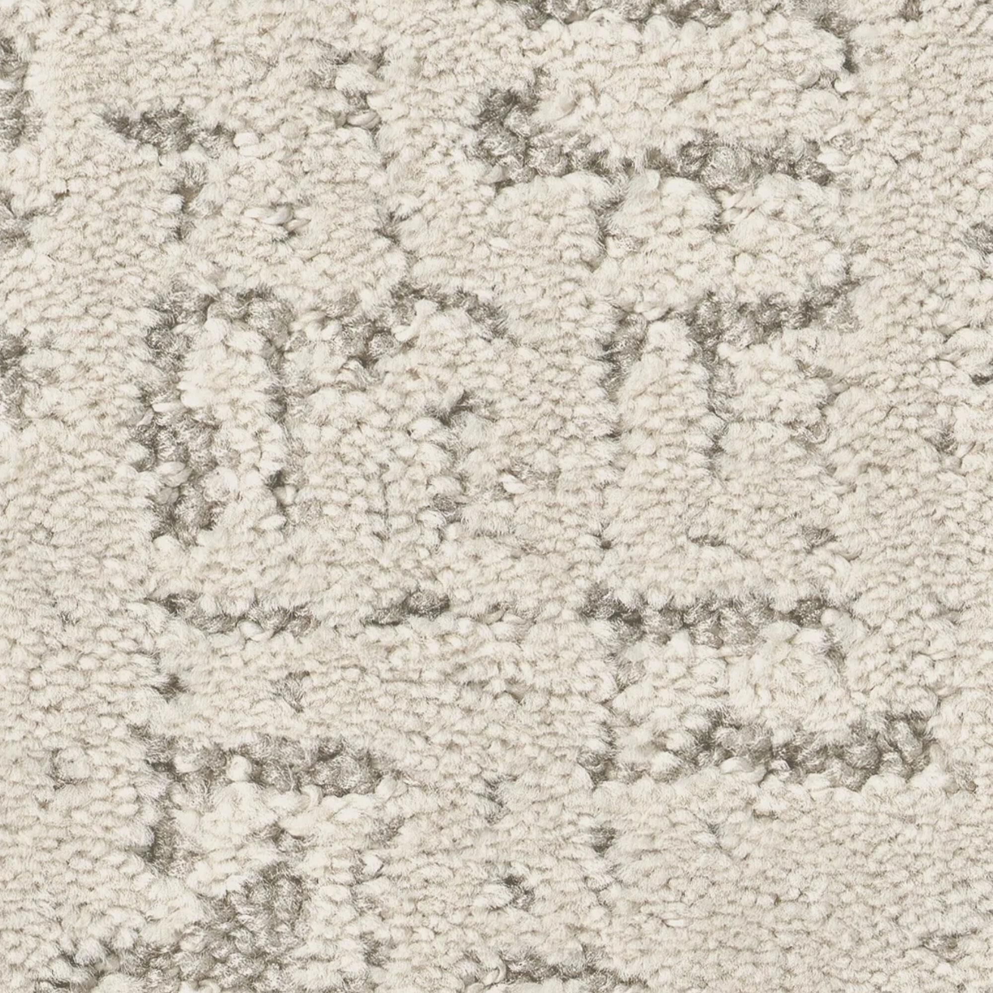 Anderson Tuftex Adair Carpet in Elegance