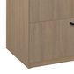 Regency Global Sourcing Legacy 2-Drawer Lateral File in Noble Oak, , large