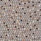 Feizy Fannin 5" x 8" Multicolor Area Rug, , large