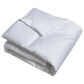 Blue Ridge Home Fashions King All Season Down Alternative Comforter in White, , large