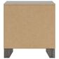 Ashley Sylveri 2-Drawer Nightstand in Gray, , large