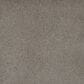 Dream Weaver Serene II Carpet in Ozark, , large