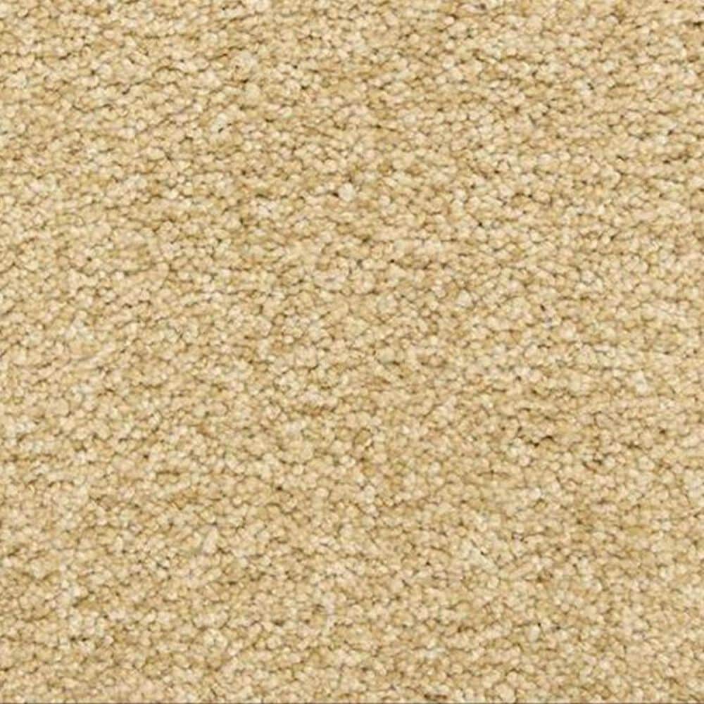 Dixie Home Carefree Carpet in Opal, , large