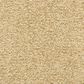 Dixie Home Carefree Carpet in Opal, , large