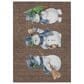Dalyn Rug Company Wonderland WN34 Brown 3" x 5" Area Rug, , large