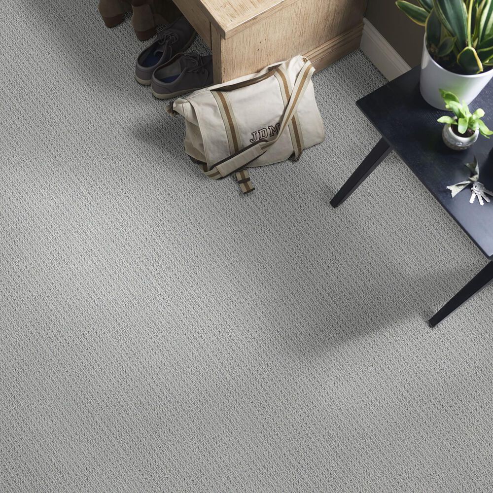 Anderson Tuftex San Lucas Carpet in Essential, , large