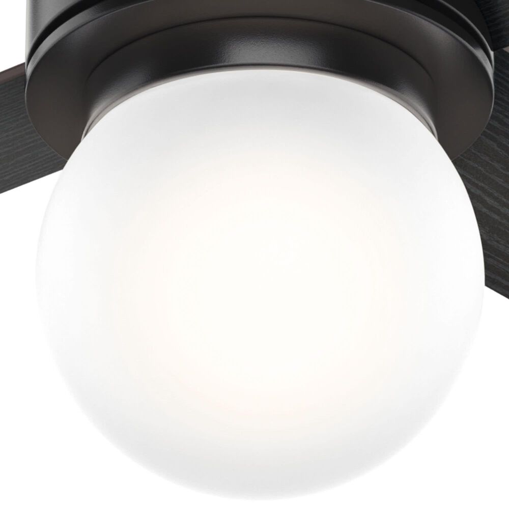 Hunter Hepburn 52&quot; Ceiling Fan with LED Light in Matte Black, , large