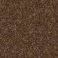 Anderson Tuftex Enduring Charm Carpet in Bronco, , large