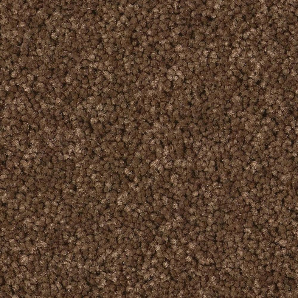 Anderson Tuftex Enduring Charm Carpet in Bronco, , large