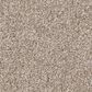 Philadelphia Delicate Feel II Carpet in Baja, , large