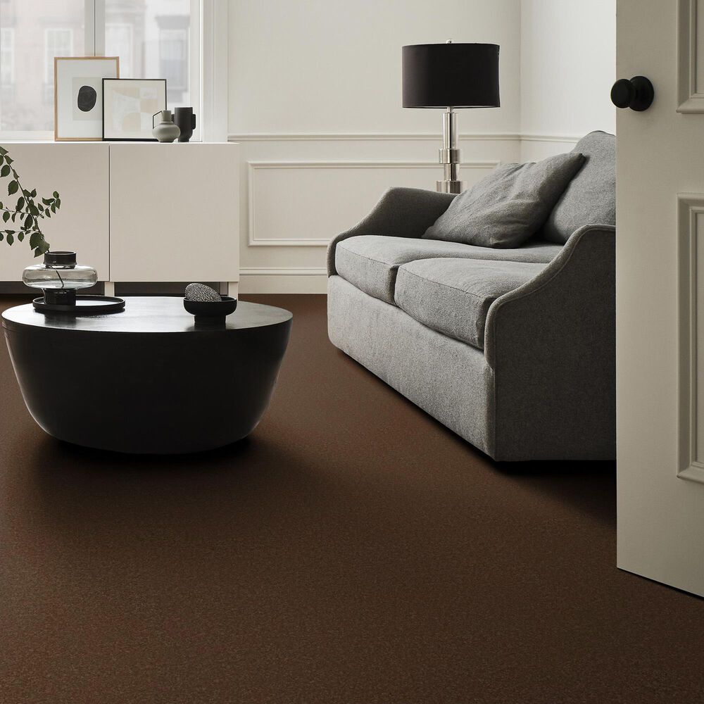 Anderson Tuftex Elegant Beauty Carpet in Bronco, , large