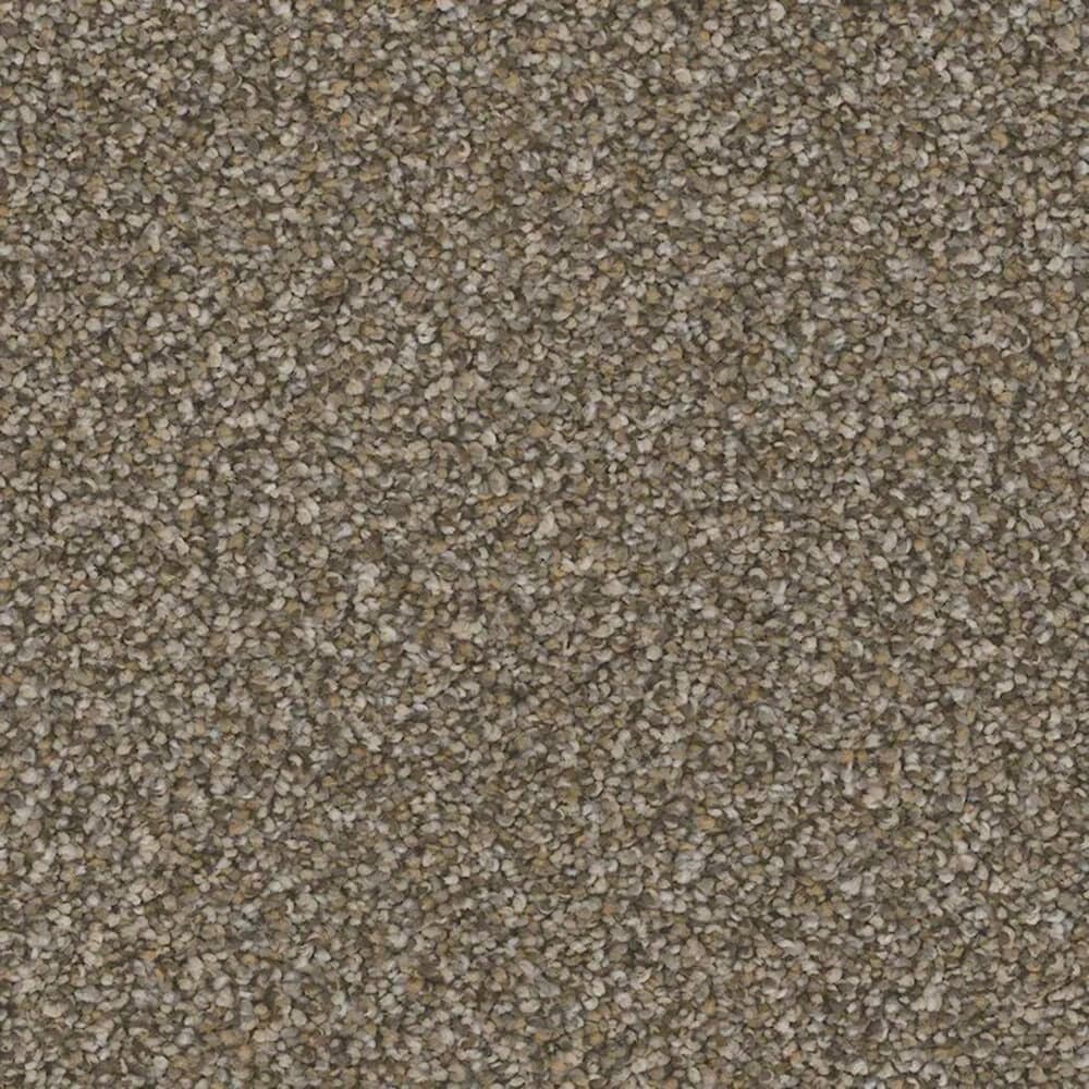 Phenix Catania Carpet in Society, , large