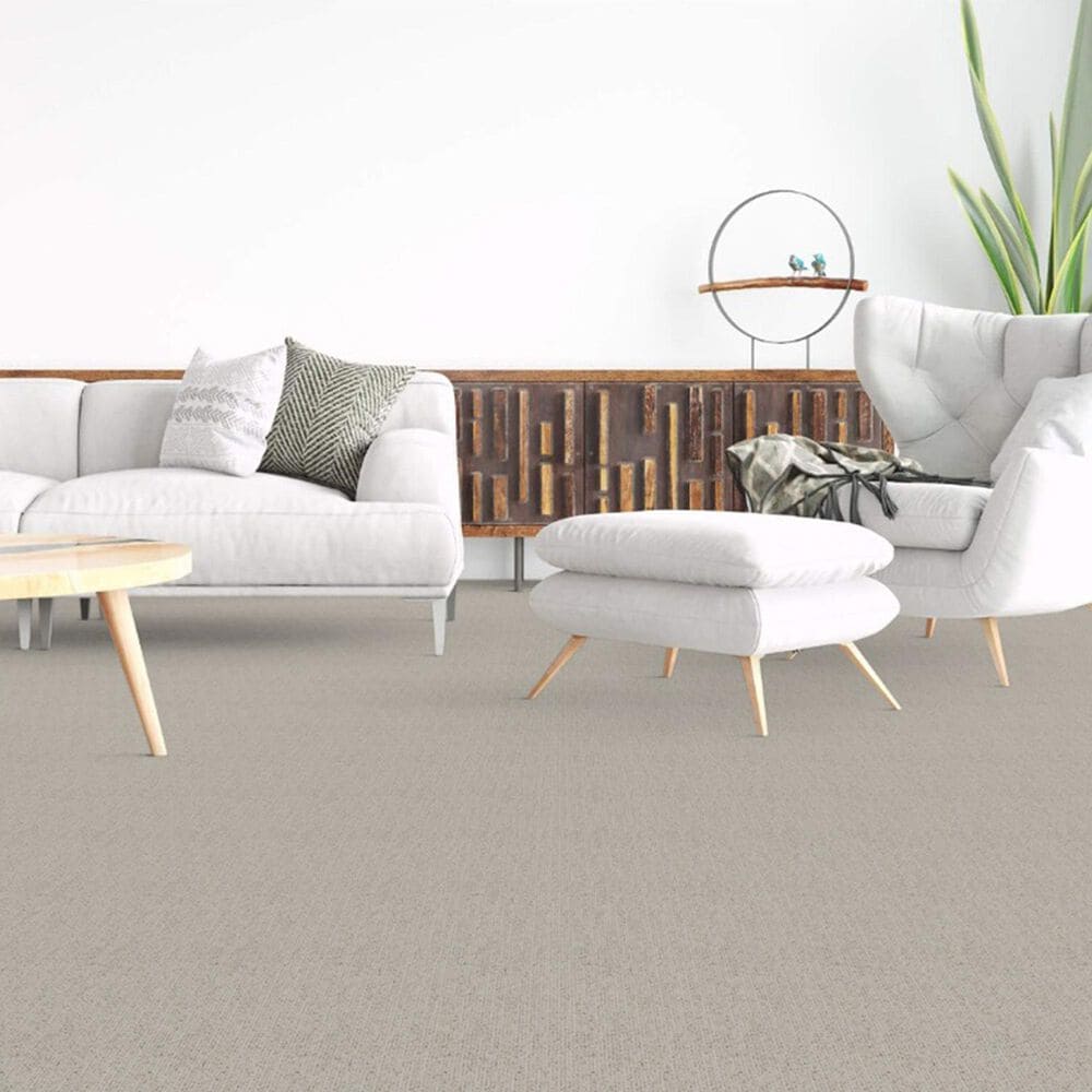 Dixie Home Worthington Carpet in Tone, , large