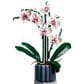 LEGO Botanical Orchid Building Set, , large