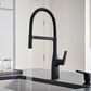 Blanco Rivana Semi Pro Kitchen Faucet 1.5 GPM in Matte Black, , large