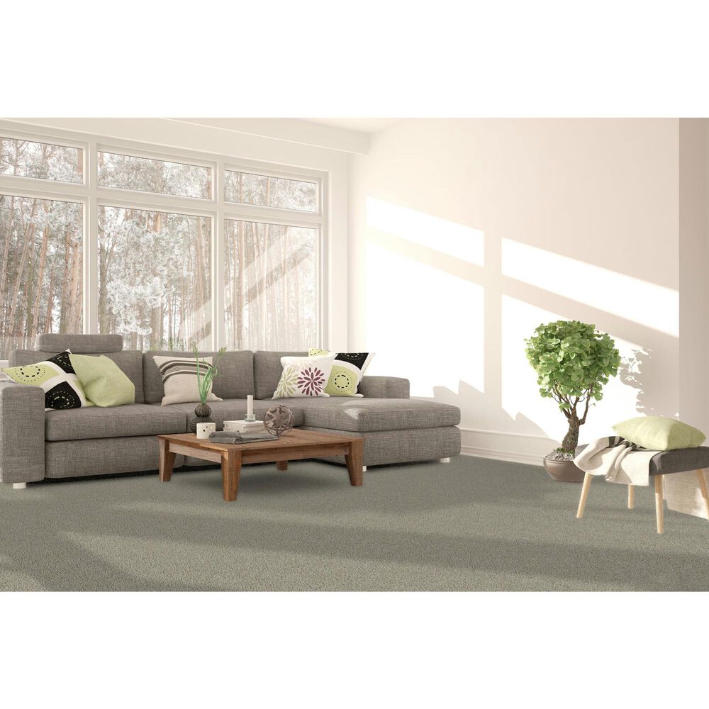 Dream Weaver Clear Skies III Carpet in Meadowdale, , large