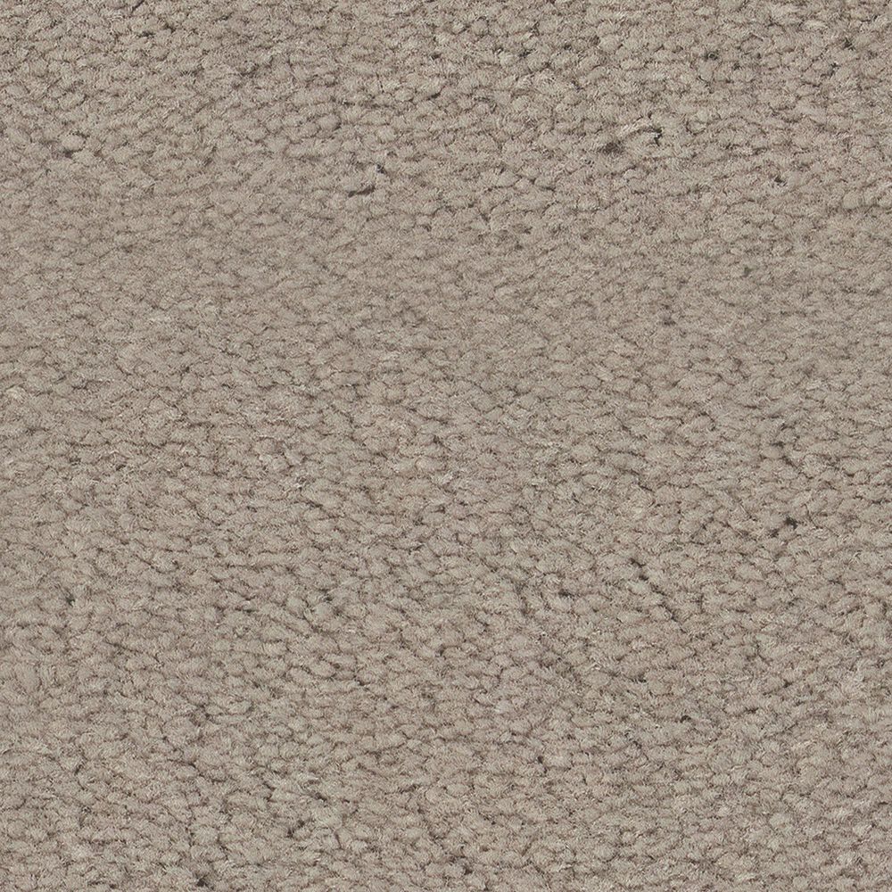 Anderson Tuftex Finery Carpet in Putty, , large