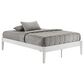 New Day Furniture Chilipepper Queen Platform Bed in White, , large