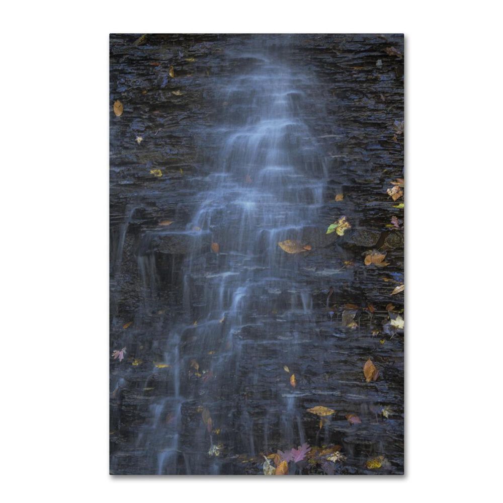 Timberlake 32" x 22" Blue Hen Falls Abstract Canvas Art, , large