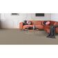 Dixie Home Winding Creek Premier Carpet in Neutral Ground, , large