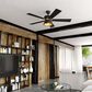 Vaxcel Scottsdale 52" LED Ceiling Fan in Black and Gold, , large