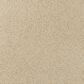 Karastan Victoria Peak I Carpet in Eads, , large
