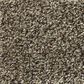 Shaw Find Your Comfort TT I Carpet in Summer House, , large