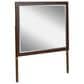Millenium Dilenno 6-Drawer Dresser and Mirror in Dark Brown, , large