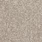 Shaw Hard At Play II Carpet in Soft Sense, , large